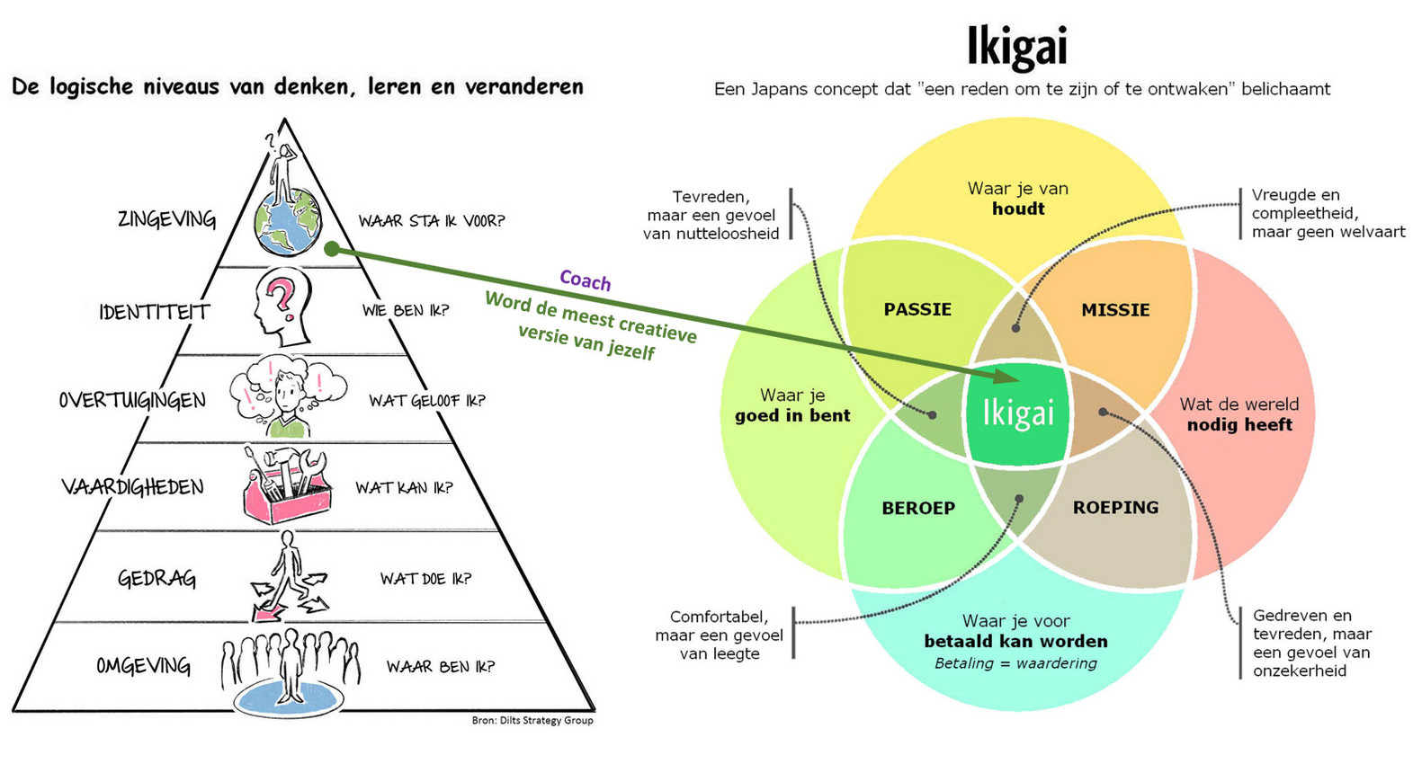 log-niv_ikigai-v6---nl.jpg