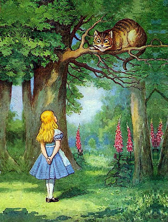 Alice is de weg kwijt en vraagt om hulp plaatje