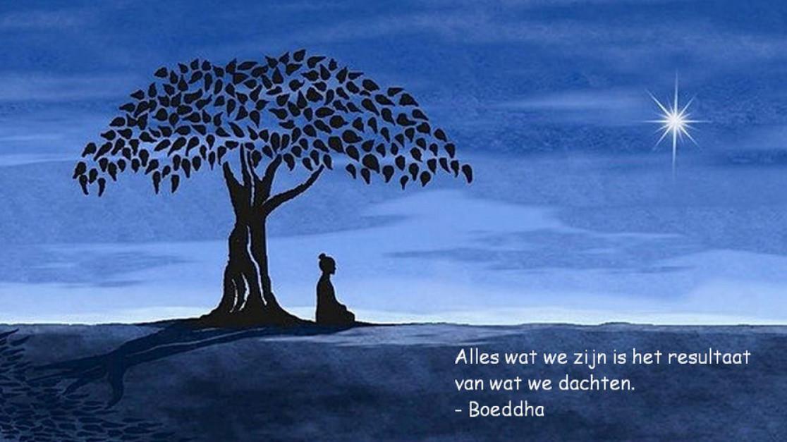 Bewustzijn plaatje
