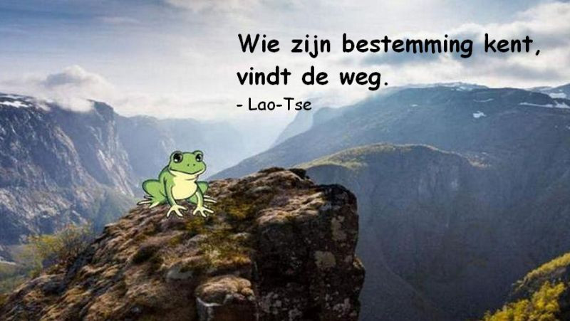 De vreemde kikker plaatje 2