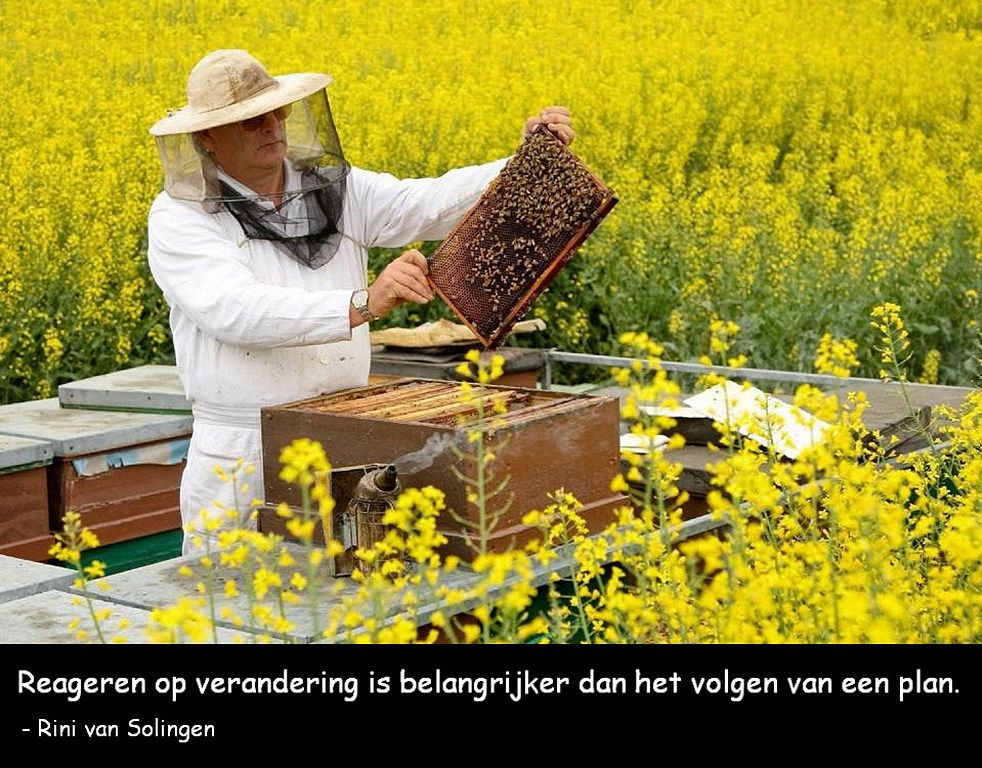Het bijenherder model plaatje