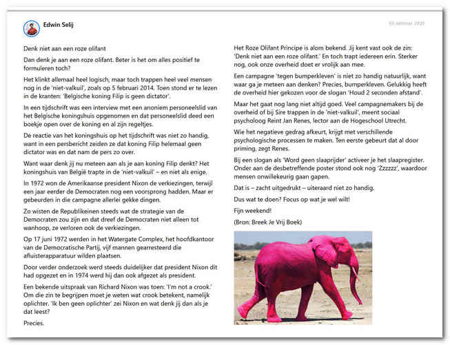 Het roze olifant principe plaatje