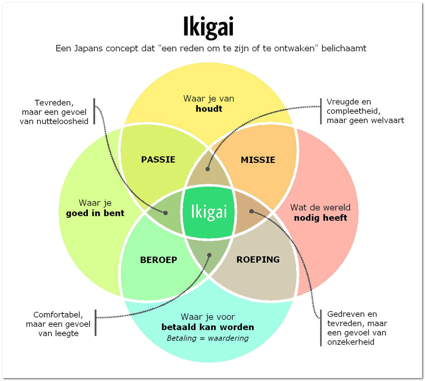 Iedereen heeft een Ikigai plaatje
