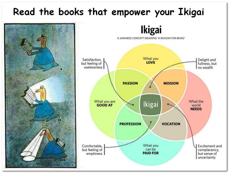 We all have an Ikigai plaatje